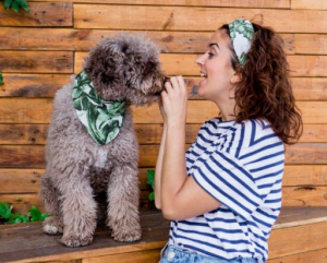 Dog with bandana