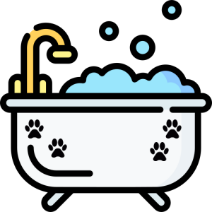Bath & Brush icon